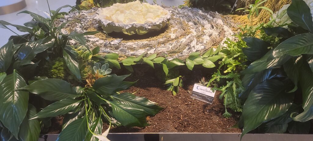 Shoreline Steward at The Hilton Niagara Falls, Fleurs de Villes, Crescent Gardens Florist (102)