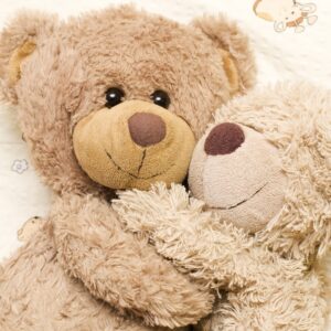 Snuggly Plush Teddy Bear