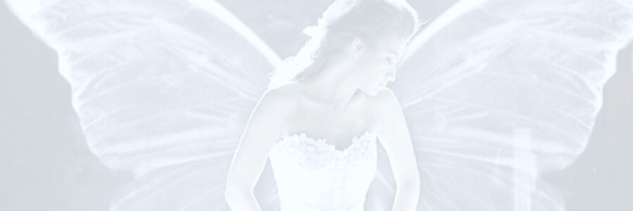 Extravaganzas to Elopements